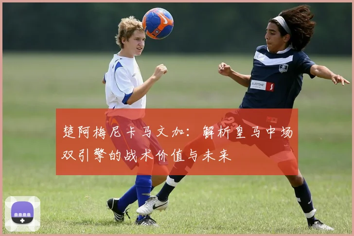 楚阿梅尼卡马文加：解析皇马中场双引擎的战术价值与未来